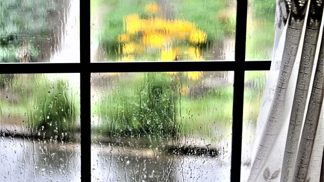 雨の日の窓の画像